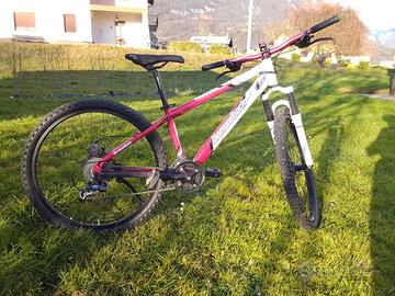 Mountain bike ruote 26,5