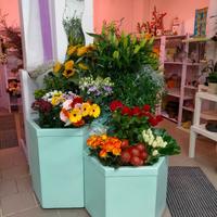 Attrezzatura per Fiorai