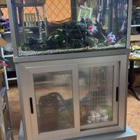 Acquario  d'acqua dolce