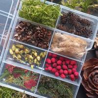 Mix Fiori essiccati - bosco