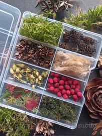 Mix Fiori essiccati - bosco