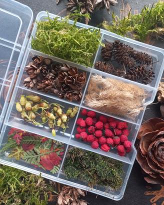 Mix Fiori essiccati - bosco