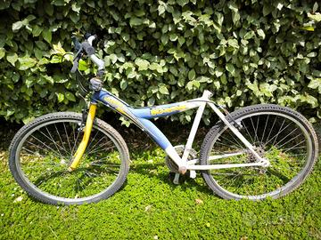 bicicletta