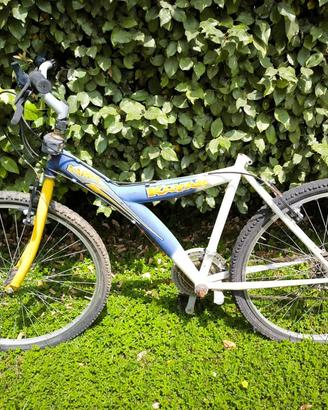 bicicletta