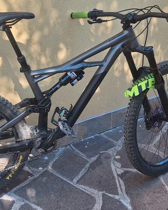 specialized enduro 