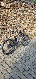 Transition Patrol Carbon 2017