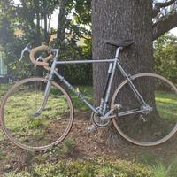 Bici da corsa Peugeot