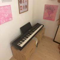 Donner DEP-20 – Pianoforte digitale 88tasti pesati