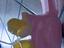 Immagine 2