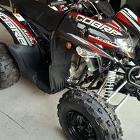 quad AEON COBRA 400 efi euro5 ..leggi bene