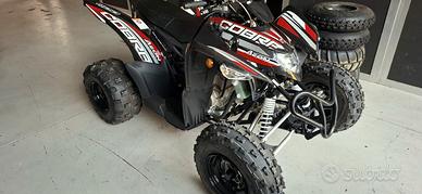 quad AEON COBRA 400 efi euro5 ..leggi bene