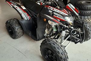 quad AEON COBRA 400 efi euro5 ..leggi bene
