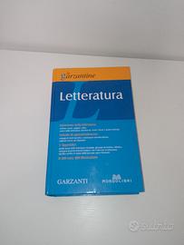 Dizionario enciclopedia della letteratura Garzanti