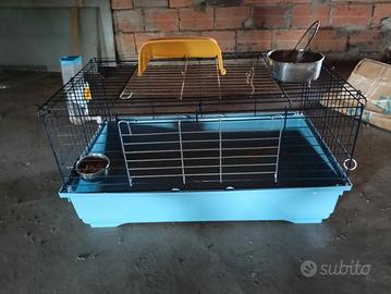 gabbia