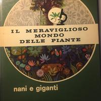 Il meraviglioso mondo delle piante nani e giganti