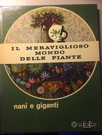 Il meraviglioso mondo delle piante nani e giganti