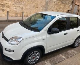 FIAT PANDA FIREFLY S&S 1000 HYBRID