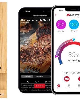 MEATER Plus