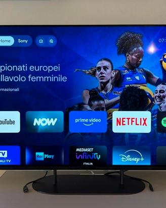 Sony BRAVIA XR-48A90K OLED 48" 4K Smart TV (2022)