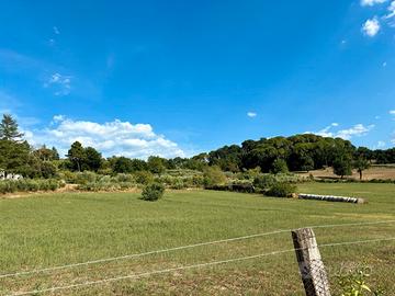 Terreno agricolo di 20.000 mq