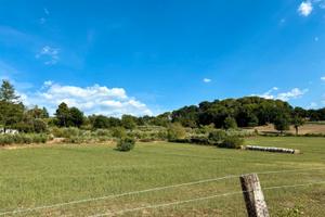 Terreno agricolo di 20.000 mq