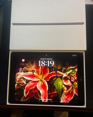 Apple Ipad 9th generazione + Apple Pencil
