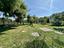Immagine 21