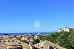 4 LOCALI A GENOVA