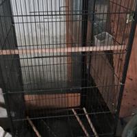 Gabbia per uccelli