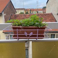 Fioriere sospese da balcone/terrazzo