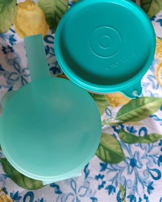 due ciotole Tupperware 