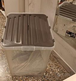 Scatola plastica grande 