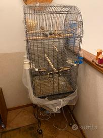 Gabbia + 5 uccellini diamantini mandarini