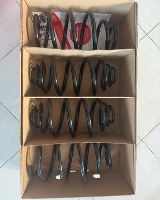 Molle eibach per opel