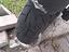 Immagine 4