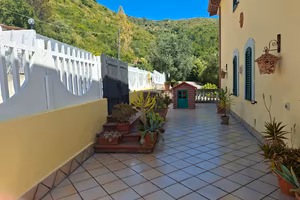 disponibilità da domenica 13 settembre  