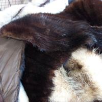 COLLI DI PELLICCIE VARIE