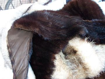 COLLI DI PELLICCIE VARIE