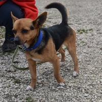 Spank 7 anni tg piccola in adozione