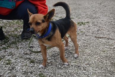 Spank 7 anni tg piccola in adozione