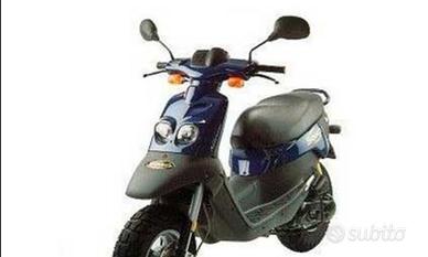 squab 50cc