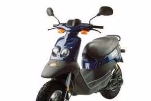 squab 50cc