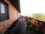 Immagine 11
