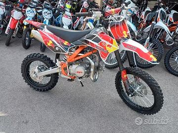 Nuove pit bike 17/14 graf.red bull 125/140/160