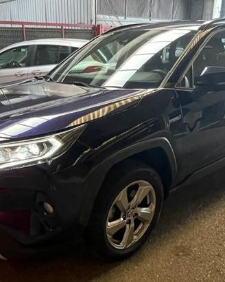 TOYOTA RAV 4 2.5 178Cv. HYBRID 4WD LOUNGE