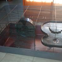 Gabbia Alaska 83 x 48 x 45