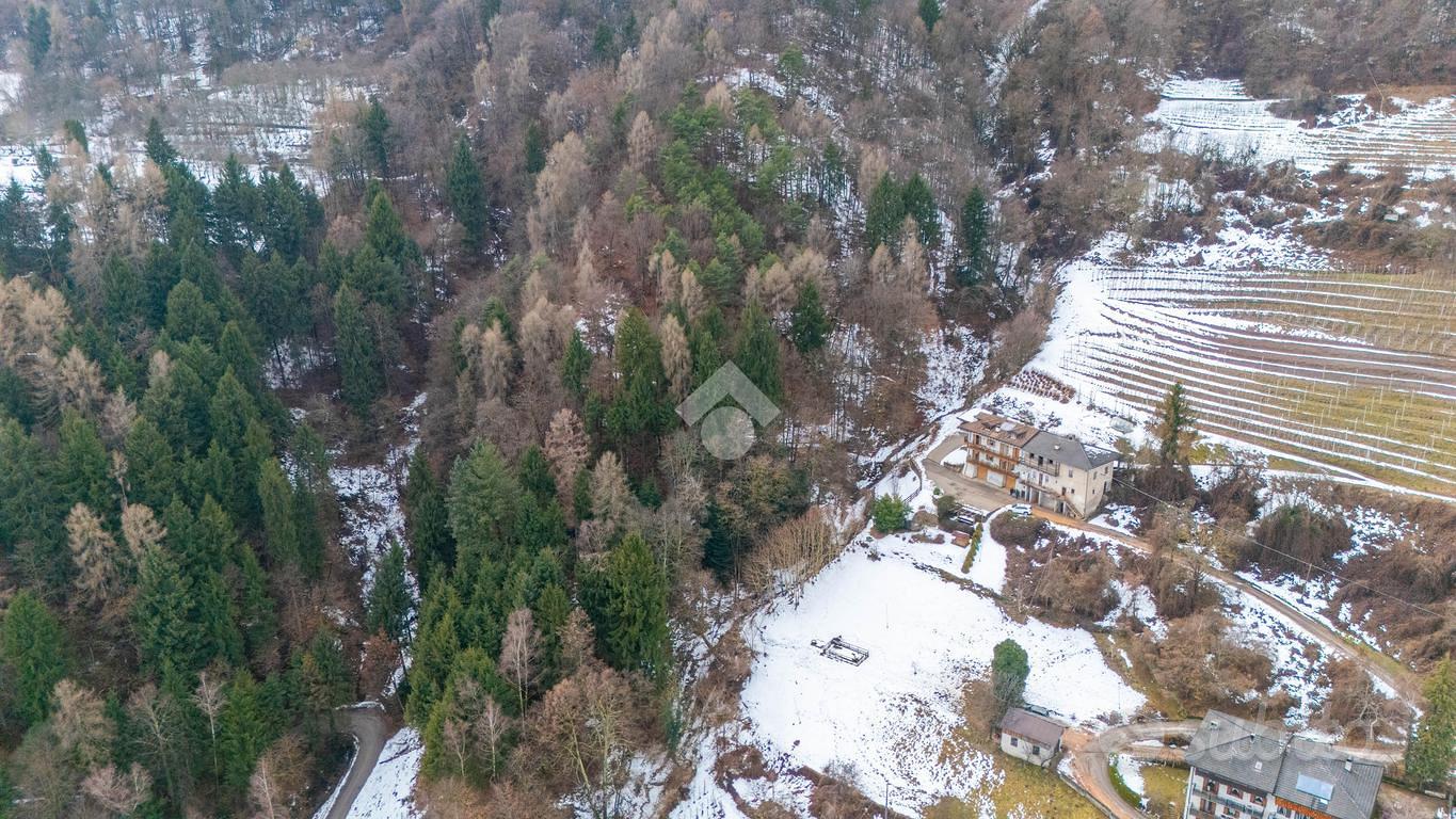 TER. AGRICOLO A PERGINE VALSUGANA - Altro