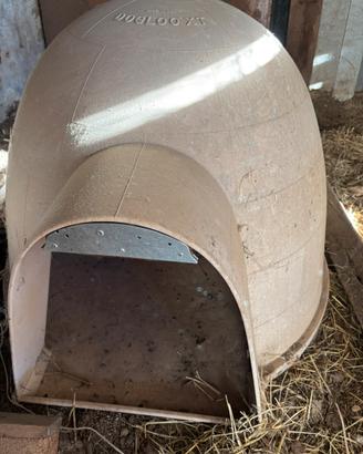 Cuccia cane
