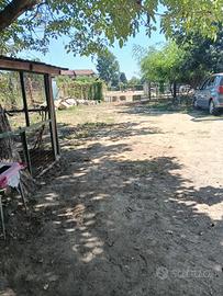terreno , pensione cavalli ,cani