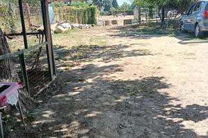 terreno , pensione cavalli ,cani